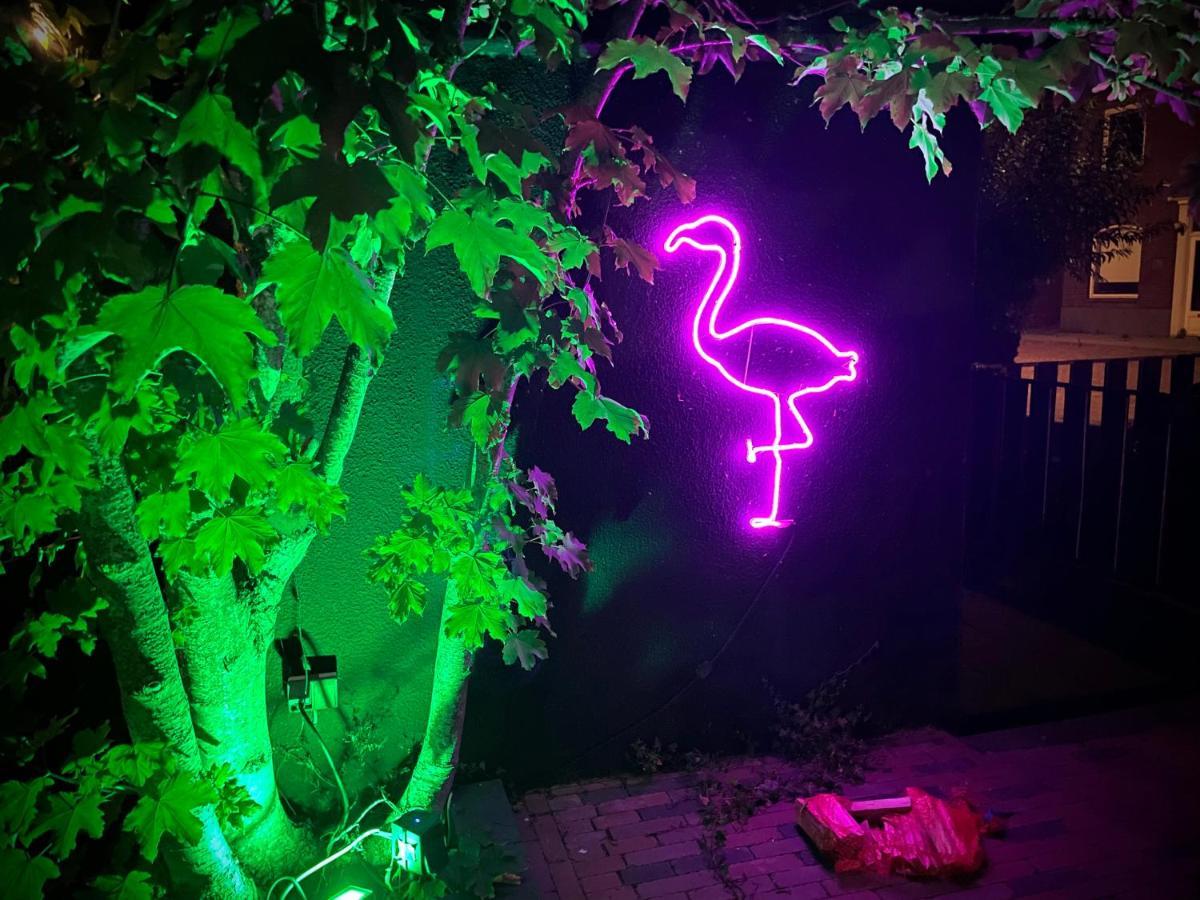 Flamingo Studio'S Zeeland Schoondijke Dış mekan fotoğraf