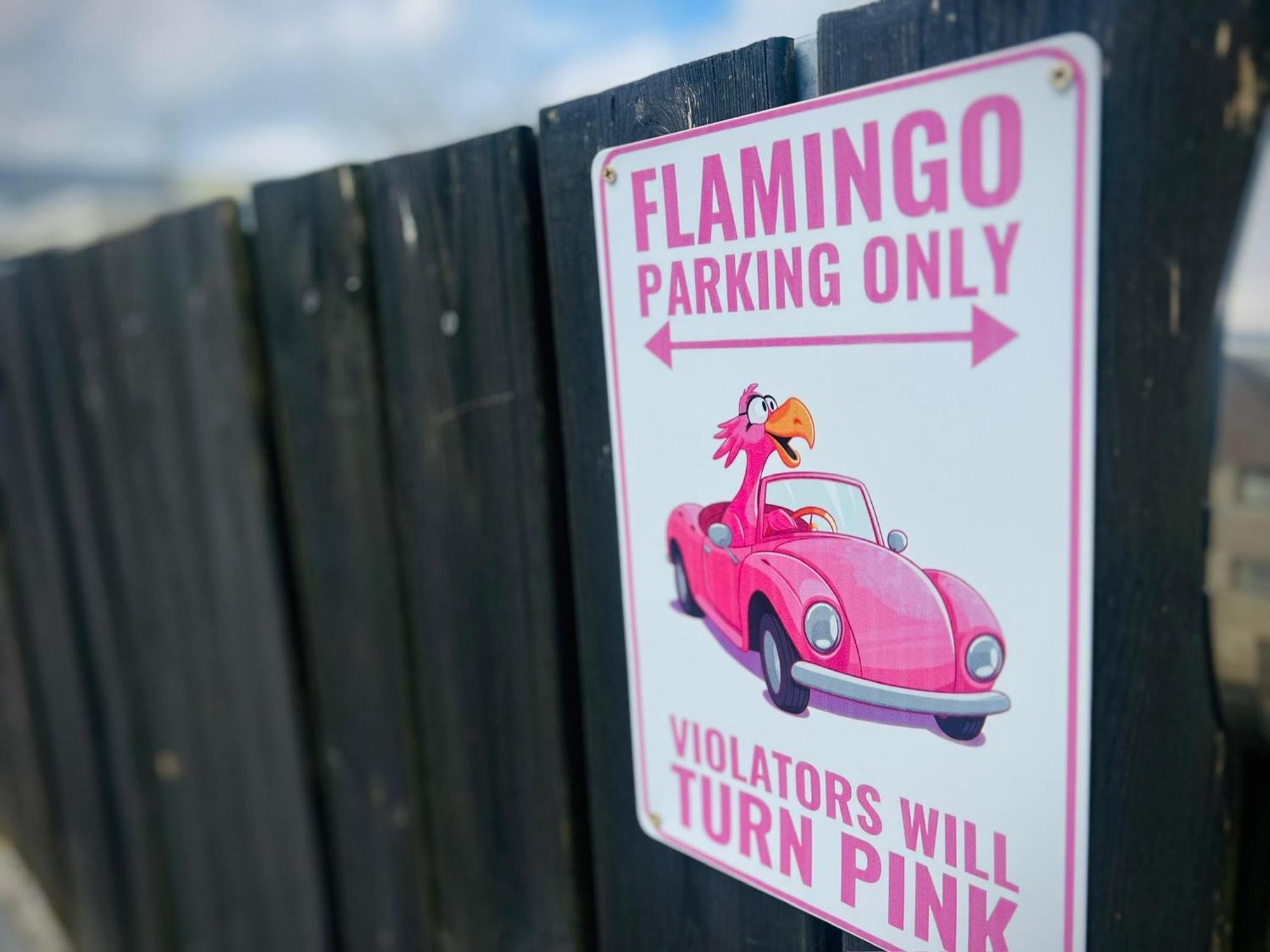 Flamingo Studio'S Zeeland Schoondijke Dış mekan fotoğraf