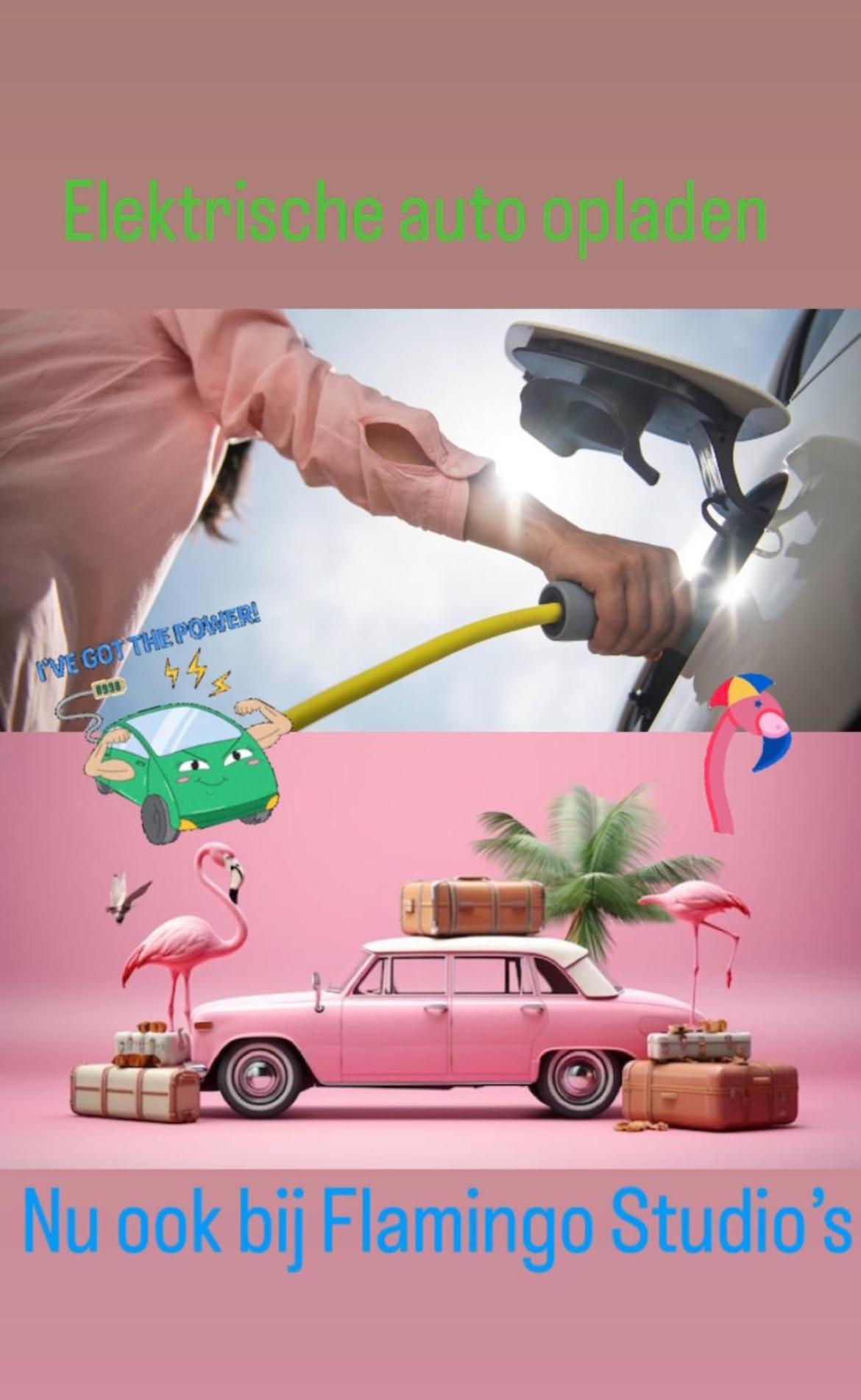 Flamingo Studio'S Zeeland Schoondijke Dış mekan fotoğraf